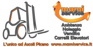 LOGO MAMI SERVICE